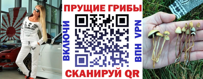 Галлюциногенные грибы Magic Shrooms гидра как зайти Электроугли
